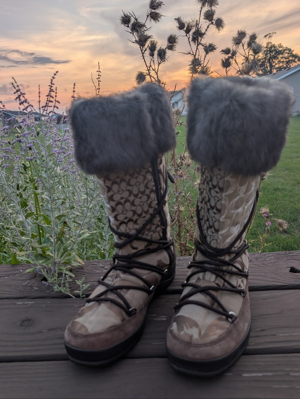 Coach Laurilyn Signature Logo Lace-Up Winter Boots with Gray Shearling Cuffs
